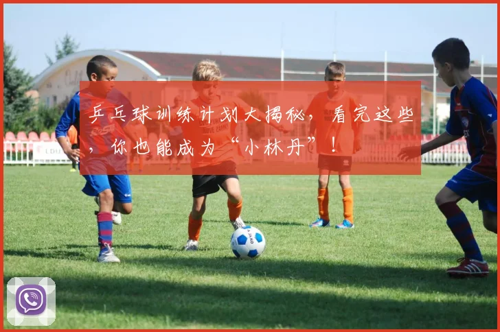 乒乓球训练计划大揭秘，看完这些，你也能成为“小林丹”！