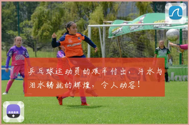 乒乓球运动员的艰辛付出，汗水与泪水铸就的辉煌，令人动容！